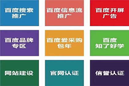 SEM代理成功案例：提升品牌曝光率
